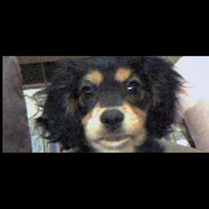 Meet your Posher, Sherrie